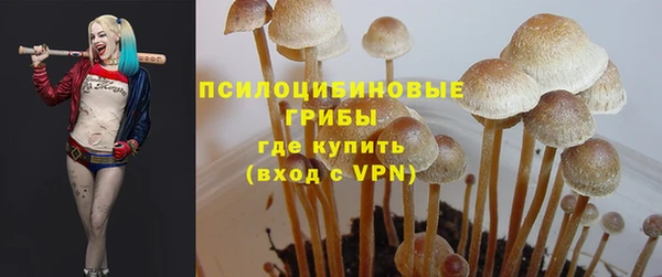 МДМА Козельск