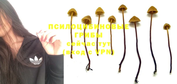 амф Киренск