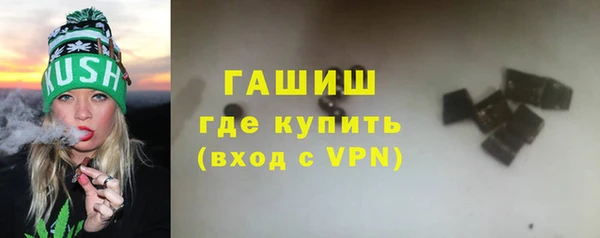 индика Козловка